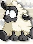 pic for Cute Sheep